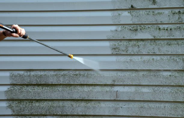 Professional Pressure Washing in Pleak, TX